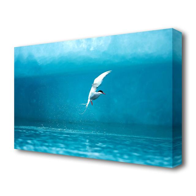 'Arctic Tern Wildlife' - Wrapped Canvas Photograph Print East Urban Home Size: 50.8 cm H x 81.3 cm W on Productcaster.