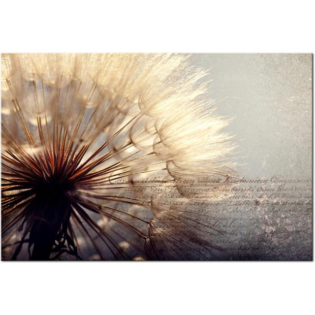 Gentleness of Summer - Graphic Art Print on Canvas East Urban Home Size: 90 cm x 60 cm on Productcaster.