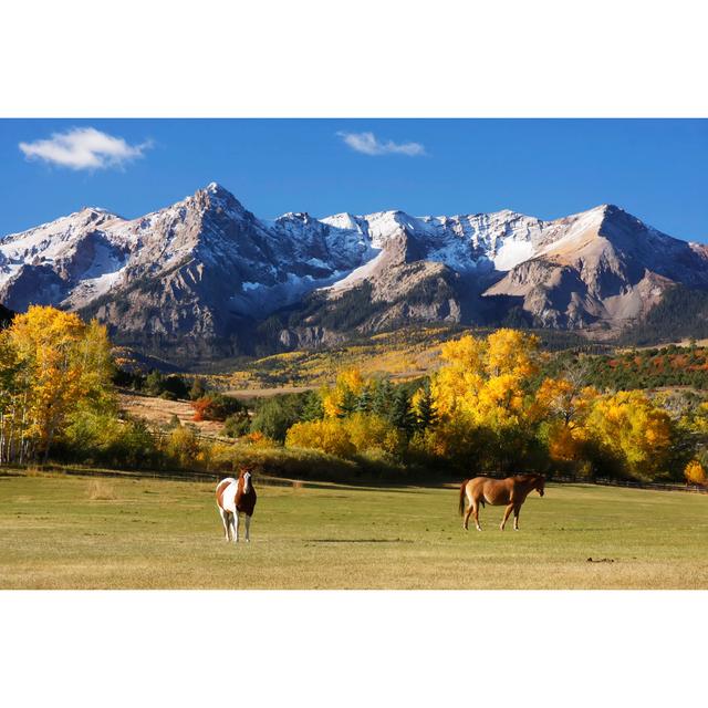 Uncompahgre National Forest by Donyanedomam - Wrapped Canvas Print Alpen Home Size: 51cm H x 76cm W on Productcaster.