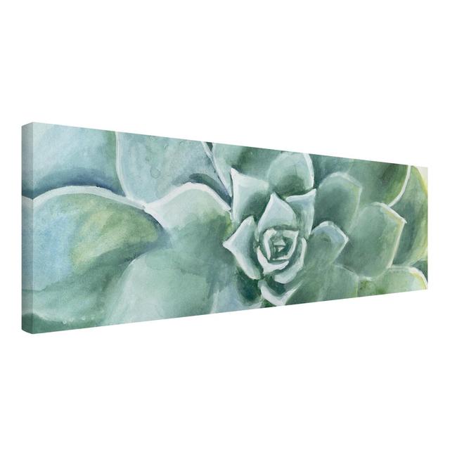 Succulent watercolor dark - Wrapped Canvas Graphic Art Bloomsbury Market Size: 40cm H x 120cm W, Format: 330gsm recycled canvas on Productcaster.