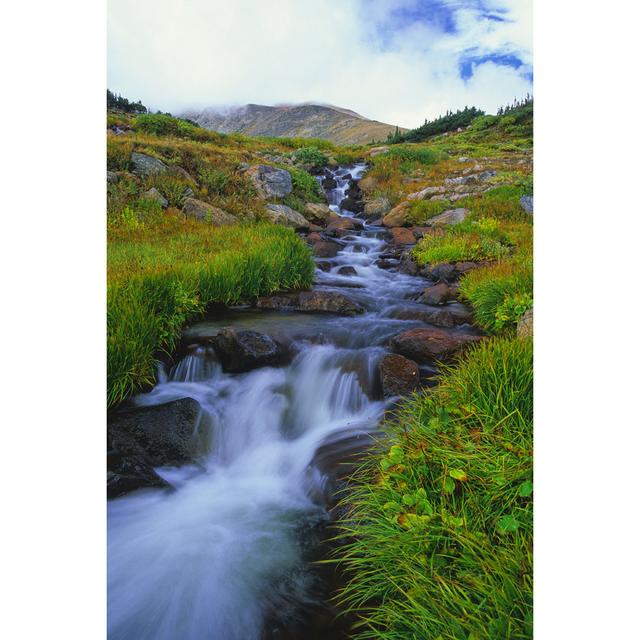 Mountain Waterfall Creek by Amygdala_imagery - No Frame Art Prints on Canvas 17 Stories Size: 30cm H x 20cm W on Productcaster.