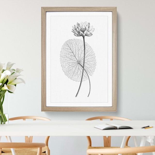 White Egyptian Lotus - Picture Frame Graphic Art Print East Urban Home Size: 76cm H x 50cm W x 2cm D, Frame Option: Oak on Productcaster.