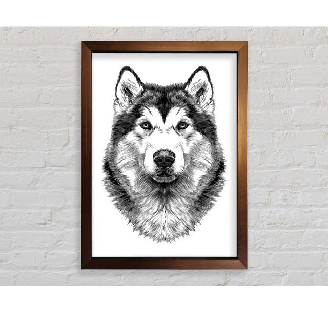 Husky Wolf - Druck Bright Star Größe: 84,1 cm H x 59,7 cm B x 3,4 cm T on Productcaster.