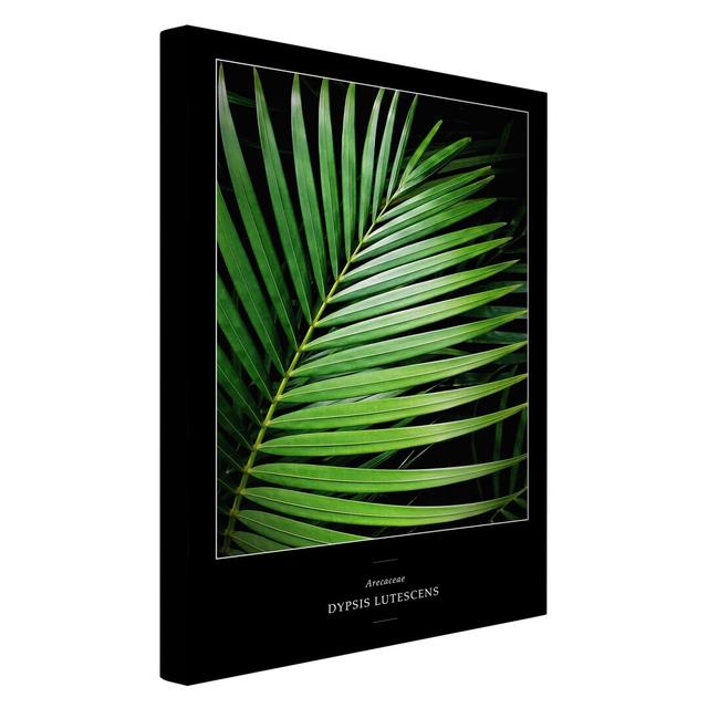 Tropical Palm Leaf - Wrapped Canvas Graphic Art Bay Isle Home Format: Recycled Canvas 330g/m², Size: 90cm H x 60cm W on Productcaster.