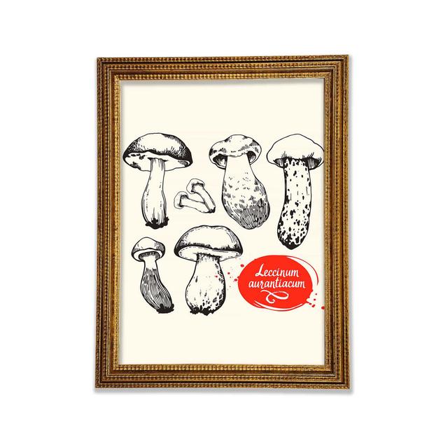 Mushrooms - Print August Grove Size: 118.9cm H x 84.1cm W x 3cm D on Productcaster.