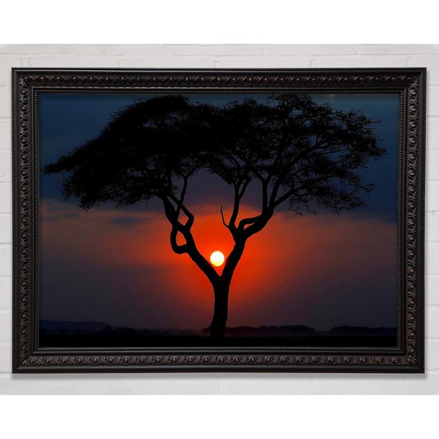 Beautiful Red Sunset Between The Tree - Single Picture Frame Art Prints Bright Star Size: 42cm H x 59.7cm W on Productcaster.