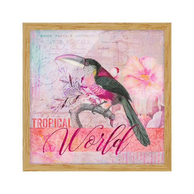 Vintage Collage - Tropical World Tucan - Picture Frame Graphic Art 17 Stories Size: 30cm H x 30cm W x 2cm D, Frame Option: Brown on Productcaster.