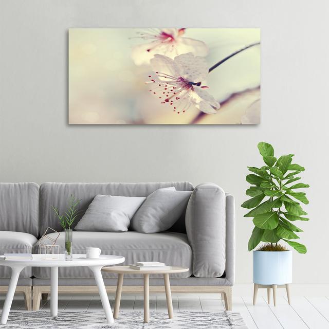 Kirschblüte - Ungerahmte Kunstdrucke auf Leinwand ModernMoments on Productcaster.