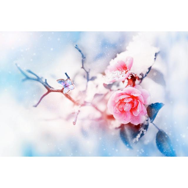 Beautiful Pink Roses and Butterfly in the Snow - Wrapped Canvas Photograph Latitude Run Size: 81cm H x 122cm W x 3.8cm D on Productcaster.