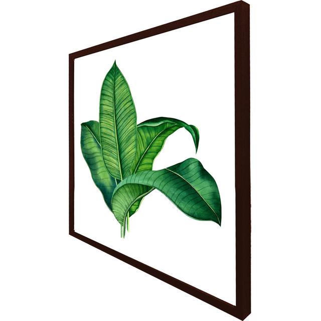 Salix Bunched Leaves - Single Picture Frame Print Brambly Cottage Size: 76cm H x 76cm W x 4cm D, Frame Colour: Brown Framed on Productcaster.