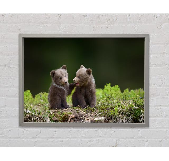 Two Bear Cubs Playing Framed Print Bright Star Size: 100.1cm H x 141.4cm W on Productcaster.