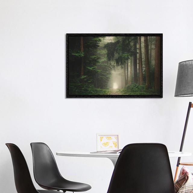 Green Foggy And Atmospheric Forest by Rob Visser - Gallery-Wrapped Canvas Giclée on Canvas Alpen Home Format: Black Floater Framed, Size: 66.04cm H x on Productcaster.