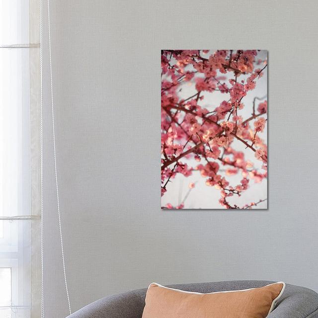 Cherry Blossoms I by Susan Bryant - Gallery-Wrapped Canvas Giclée on Canvas Lark Manor Format: Canvas, Size: 66.04cm H x 45.72cm W x 3.81cm D on Productcaster.