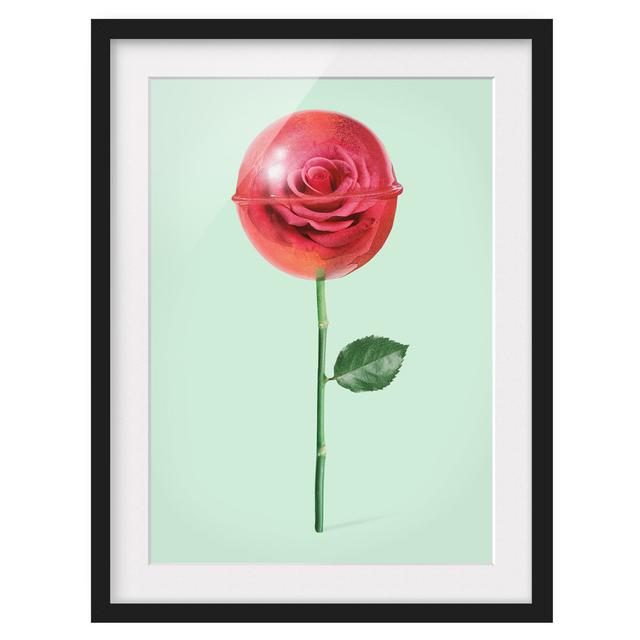 Rose with Lollipop by Jonas Loose - Picture Frame Graphic Art Marlow Home Co. Size: 100cm H x 70cm W x 2cm D, Frame Option: Black Framed on Productcaster.