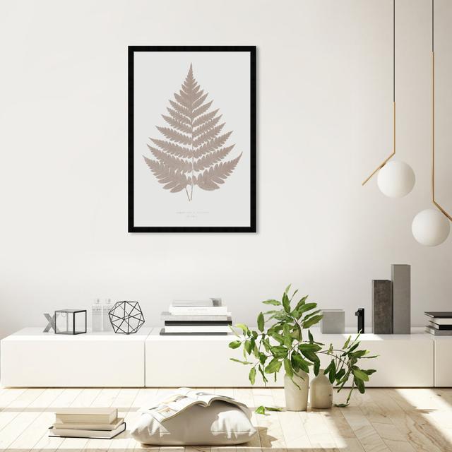 Minimal Retro Fern Plant - Picture Frame Graphic Art Oliver Gal Format: Black Framed, Size: 91.44cm H x 60.96cm W on Productcaster.