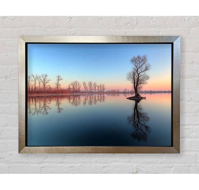 Ice Cold Trees In The River - Single Picture Frame Art Prints Ebern Designs Size: 59.7cm H x 84.1cm W on Productcaster.