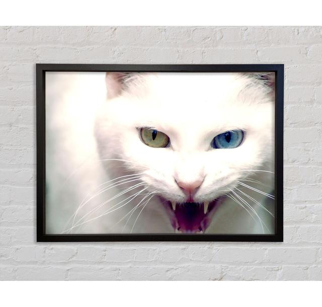 Wild White Cat - Single Picture Frame Art Prints on Canvas Bright Star Size: 59.7cm H x 84.1cm W x 3.3cm D on Productcaster.