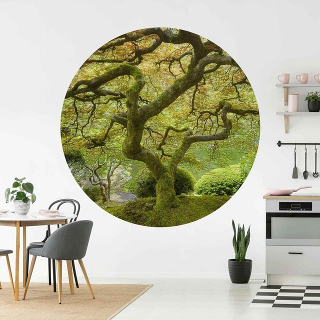 Boling Matte Peel & Stick Mural Union Rustic Size: 200cm L x 200cm W on Productcaster.