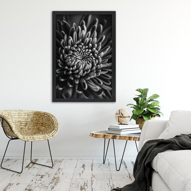 Gerahmtes Poster Black and White Flower 17 Stories Größe: 100 cm H x 70 cm B x 2 cm T on Productcaster.