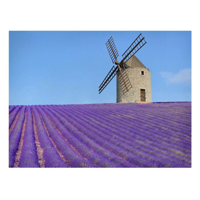 Lavender Scent In Provence - Wrapped Canvas Rectangle Graphic Art on Canvas August Grove Size: 60cm H x 80cm W on Productcaster.