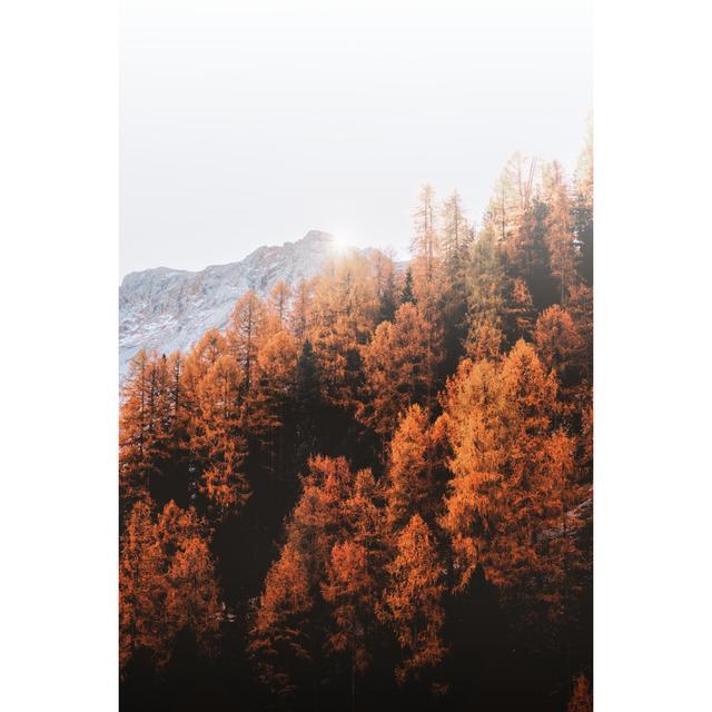 Hill Trees - Wrapped Canvas Print Alpen Home Size: 46cm H x 30cm W x 3.8cm D on Productcaster.