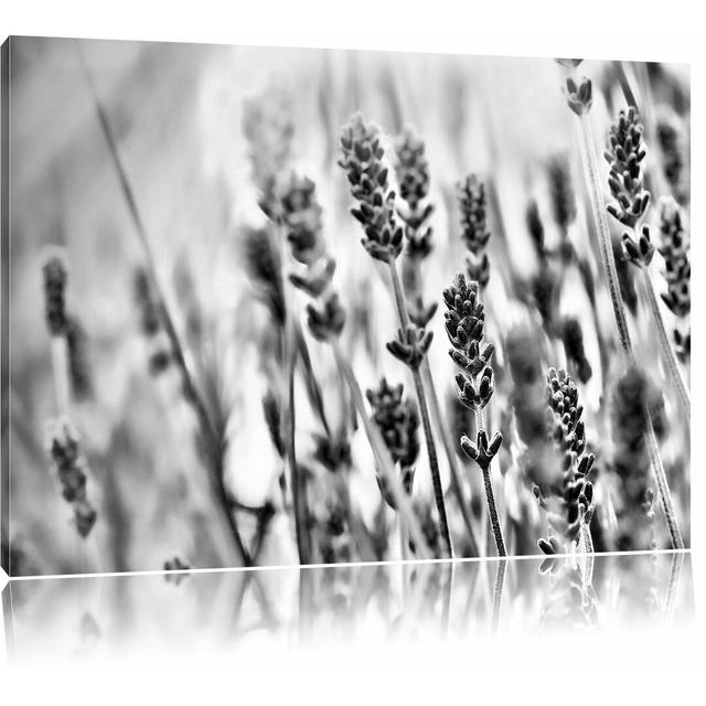 Leinwandbild Lavendel im Retro Look in Monochrom East Urban Home Größe: 70 cm H x 100 cm B on Productcaster.