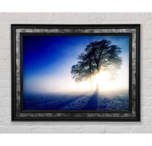 Misty Tree At Sunrise - Single Picture Frame Art Prints Bright Star Size: 100cm H x 141.4cm W x 8cm D on Productcaster.