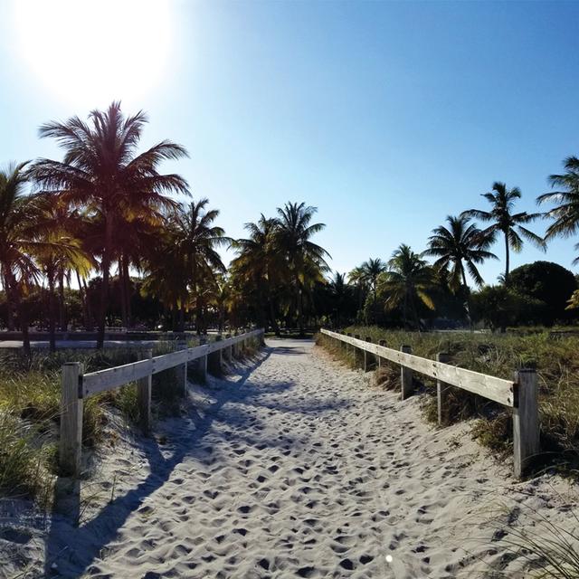 Sandy Beach Palm Path - Wrapped Canvas Photograph 17 Stories Size: 30cm H x 30cm W x 3.8cm D on Productcaster.