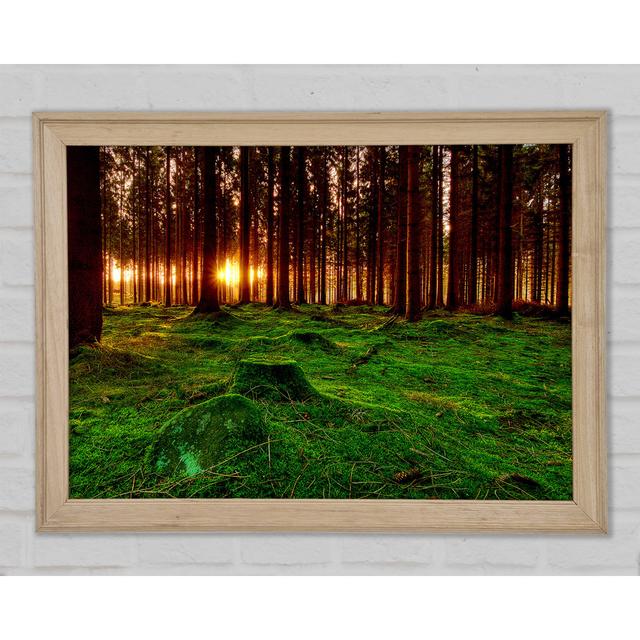 Single Picture Frame Art Prints Union Rustic Size: 29.7cm H x 42cm W on Productcaster.