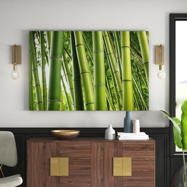 Bamboo Trees - Wrapped Canvas Graphic Art Print East Urban Home Size: 150cm L x 100cm W x 2cm D on Productcaster.