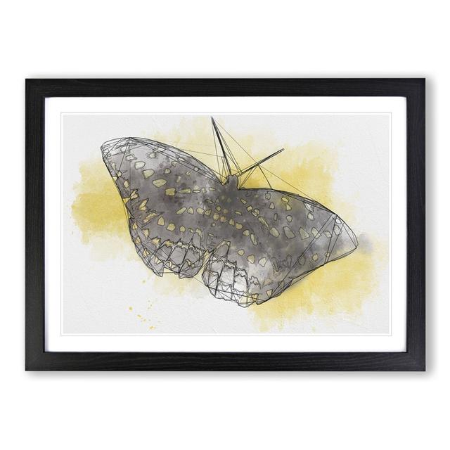 Butterfly Vol.4 Sketch - Picture Frame Painting East Urban Home Frame Option: Black Framed, Size: 48cm H x 65cm W x 2cm D on Productcaster.