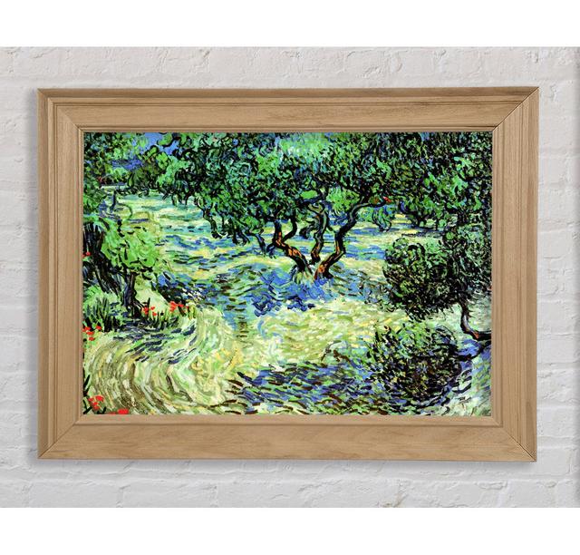 Van Gogh Olivenhain 2 - Druck Bright Star Größe: 42 cm H x 59,7 cm B x 8 cm T on Productcaster.