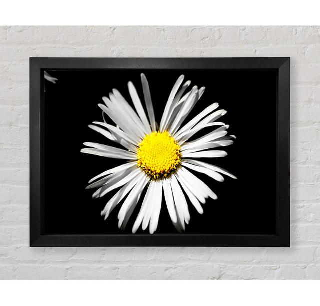 Single Picture Frame Art Prints Ebern Designs Size: 42cm H x 59.7cm W x 3.4cm D, Format: Black Framed Paper on Productcaster.