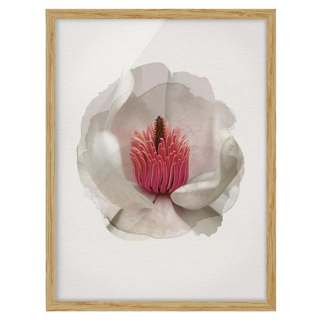 Magnolia in Pink - Picture Frame Graphic Art Rosalind Wheeler Frame Option: Brown Framed, Size: 100cm H x 70cm W x 2cm D on Productcaster.