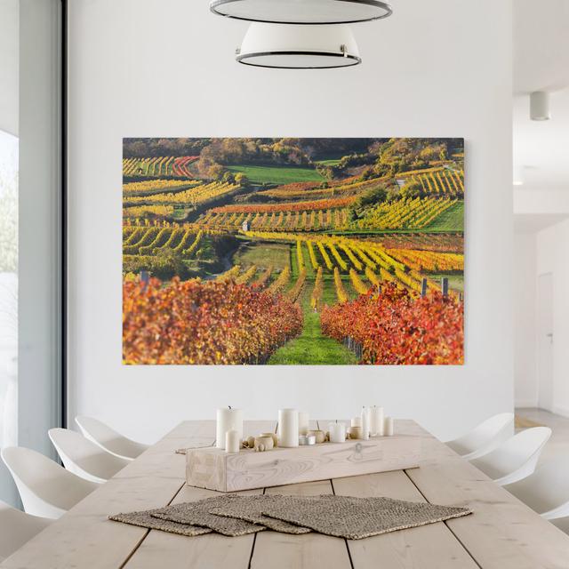 Leinwandbild Vineyard View East Urban Home Größe: 150 cm L x 100 cm B on Productcaster.