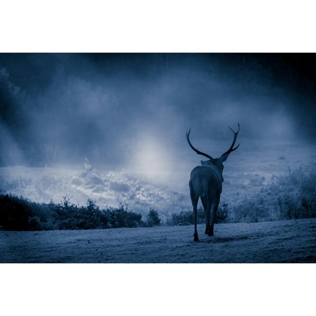 Liucijonas Bull - Wrapped Canvas Print Alpen Home Size: 20cm H x 30cm W x 3.8cm D on Productcaster.