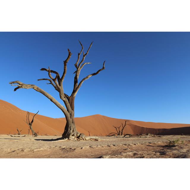 Dead Trees by Zistos - Wrapped Canvas Photograph 17 Stories Size: 20cm H x 30cm W on Productcaster.