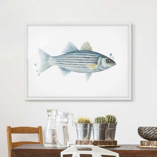 0-0-12/*Picture With Frame - Color Catch - White Perch - Landscape 3:4 Highland Dunes Frame Option: White Framed, Size: 30cm H x 40cm W x 2cm D on Productcaster.