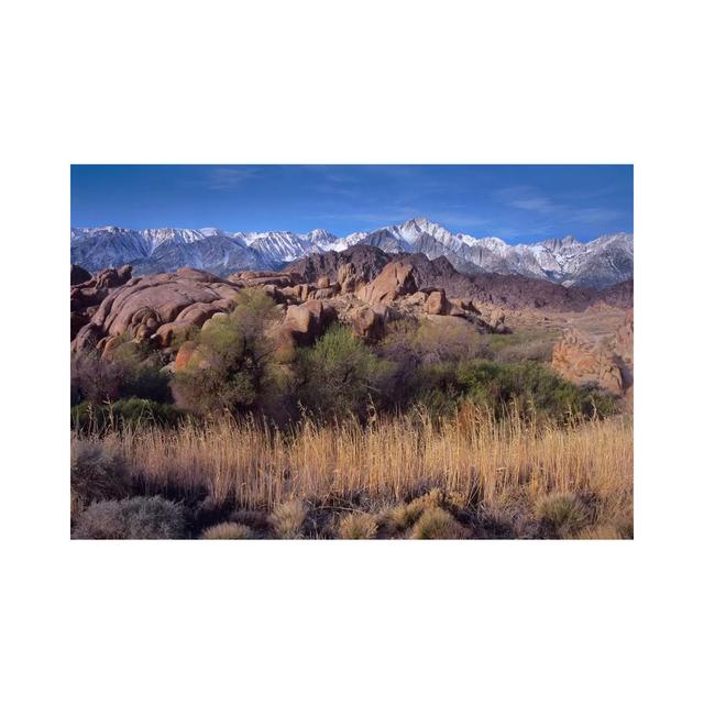 Mount Whitney And The Sierra Nevada Form Alabama Hills, California by Tim Fitzharris - Wrapped Canvas Print Alpen Home Size: 20.32cm H x 30.48cm W x 1 on Productcaster.