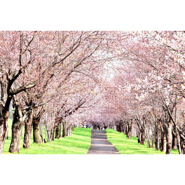 Cherry Tunnel - Wrapped Canvas Art Prints 17 Stories Size: 51cm H x 76cm W x 3.8cm D on Productcaster.