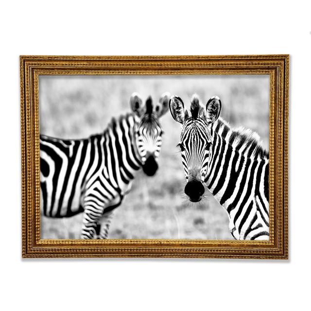 Zebra Zwillinge - Druck Ebern Designs Größe: 42cm H x 59,7cm B x 3cm T on Productcaster.