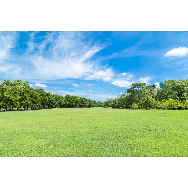 Green Grass Field by Kinwun - Wrapped Canvas Photograph 17 Stories Size: 81cm H x 122cm W on Productcaster.