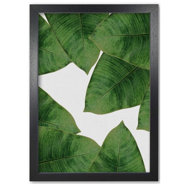 Banana Leaf II - Graphic Art Print on Paper East Urban Home Format: Black Grain Frame, Size: 42 cm H x 30 cm W x 5 cm D on Productcaster.