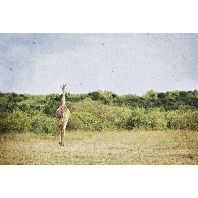 African Plains V by Golie Miamee - Wrapped Canvas Print Alpen Home Size: 81cm H x 122cm W on Productcaster.