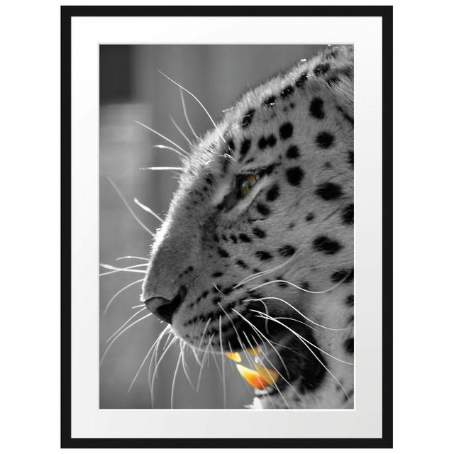 Gerahmtes Poster Brüllender Leopard East Urban Home Größe: 80 cm H x 60 cm B on Productcaster.