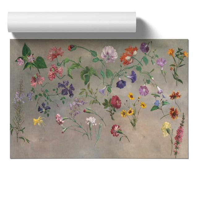 Studies of Flowers Vol.1 by Jacques-Laurent Agasse - Unframed Painting East Urban Home Size: 30cm H x 42cm W x 0.1cm D on Productcaster.