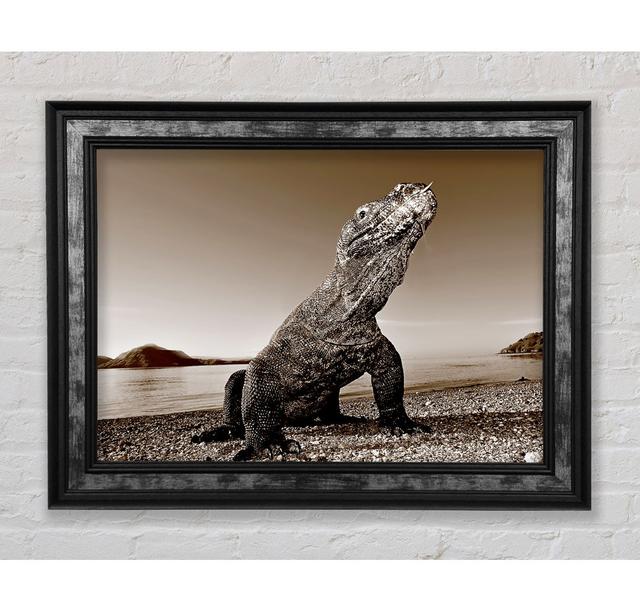 Beach Komodo Dragon - Single Picture Frame Art Prints Bright Star Size: 84.1cm H x 142.2cm W x 8cm D on Productcaster.