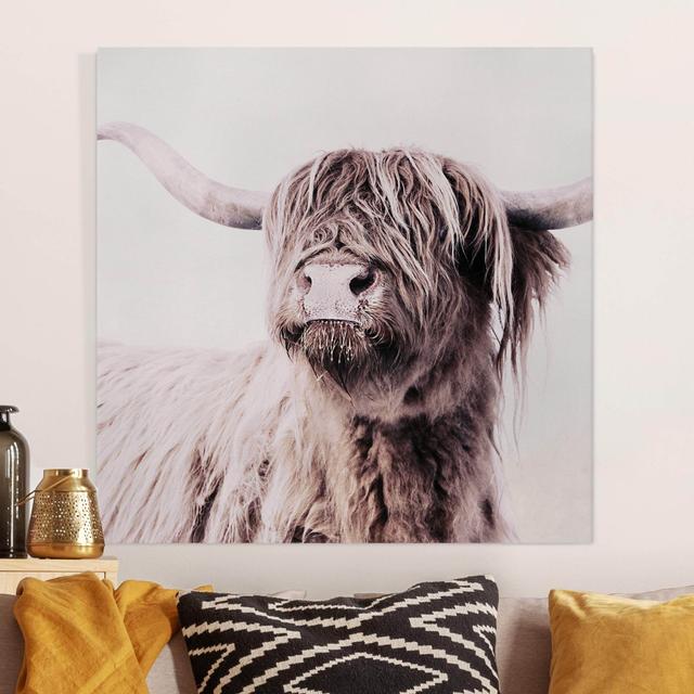 Leinwandbild "Frida Highland Cattle" von Monika Strigel Gracie Oaks on Productcaster.