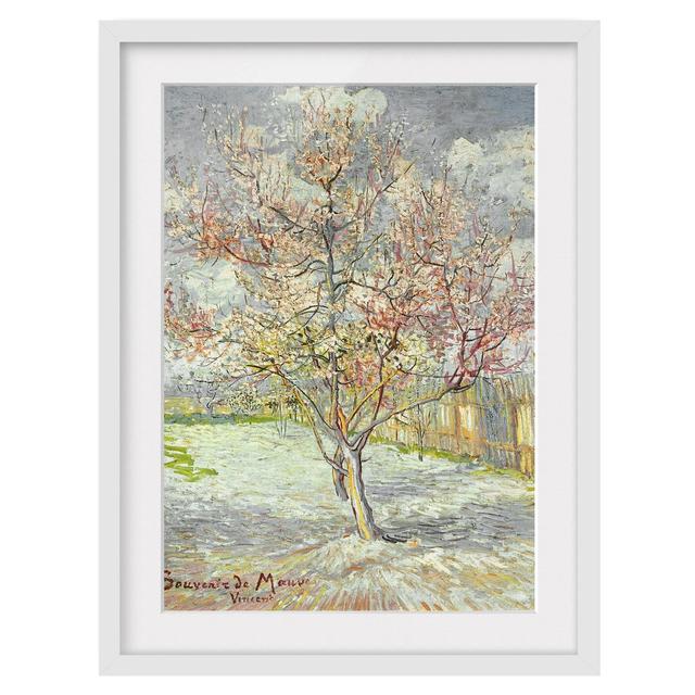 'Flowering Peach Trees' by Vincent van Gogh Framed Painting Print East Urban Home Size: 70cm H x 50cm W, Frame Options: Matt white on Productcaster.