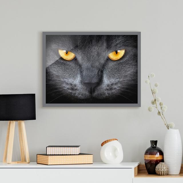 Cats Gaze - Picture Frame Graphic Art Rosalind Wheeler Size: 50cm H x 70cm W x 2cm D, Frame Option: Grey Framed on Productcaster.